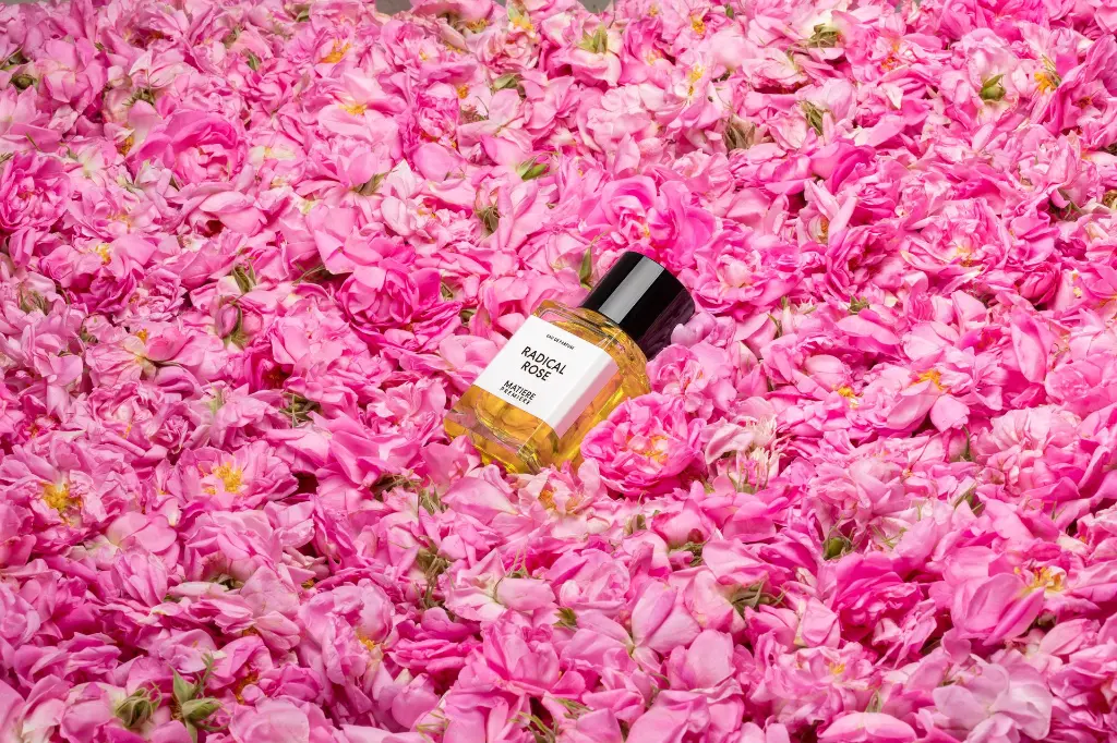 Radical Rose ambiance.webp