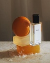 Risso image.jpg