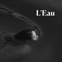 Floratropia - L'Eau