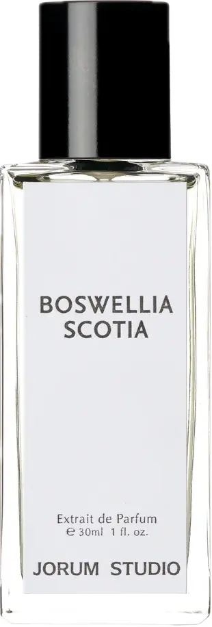 Jorum Studio - Boswellia Scotia