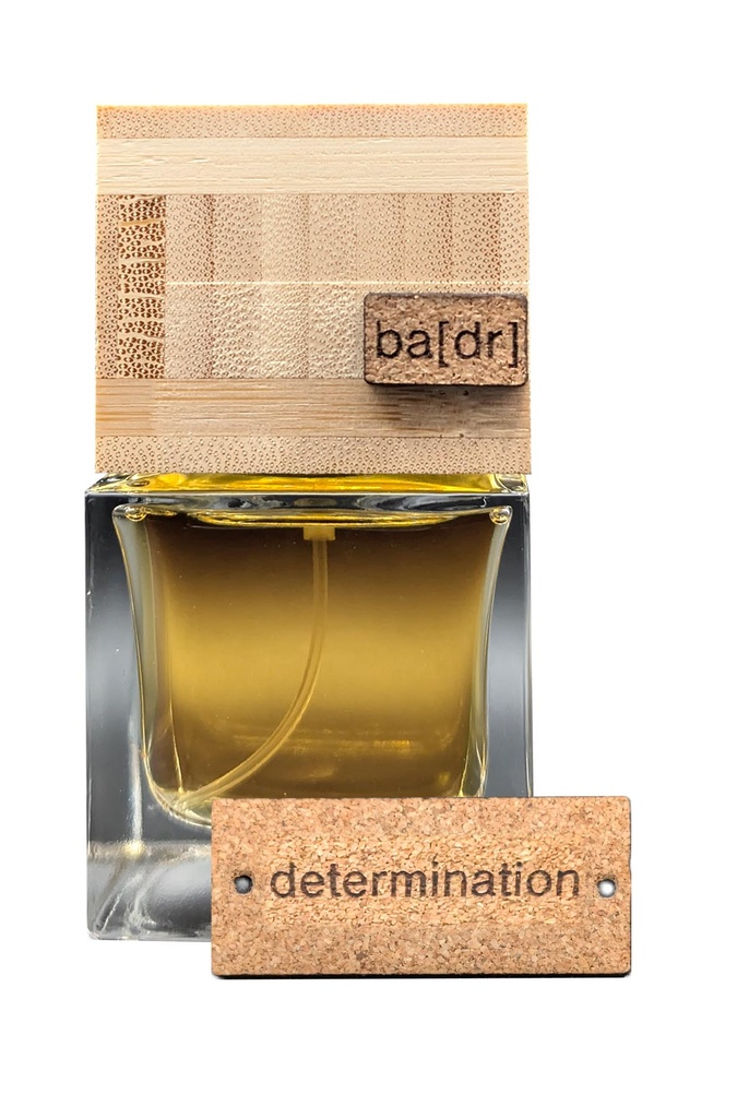 ba[dr] - Détermination